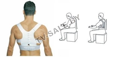    EMSON - Power Magnetic Posture Support ( -    ) 