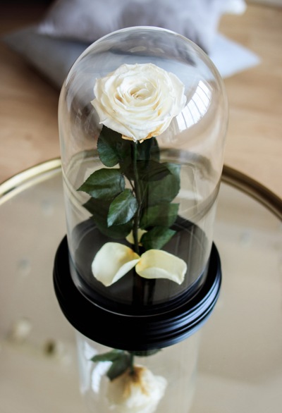 Роза в стеклянной колбе (код.0160)