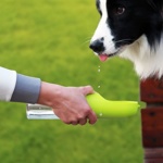 Портативная бутылка для воды для домашних животных с фильтром (код.0160)