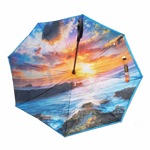 Умный зонт  POLPHIN, зонт  наоборот (арт.9-7954) 